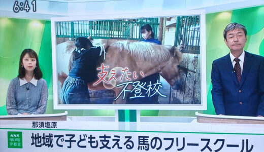 NHK首都圏版、首都圏ネットワークで、ホースフィールドのフリースクールが取り上げられます！