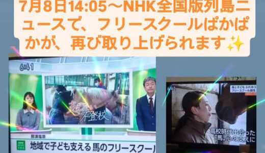 NHK全国版の列島ニュースで、ホースフィールドのフリースクールが取り上げられます